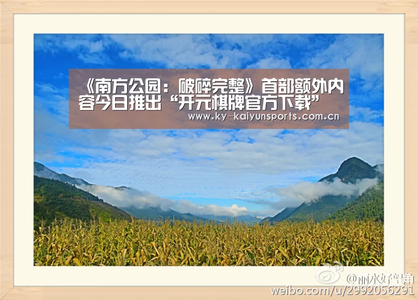 开云体育下载