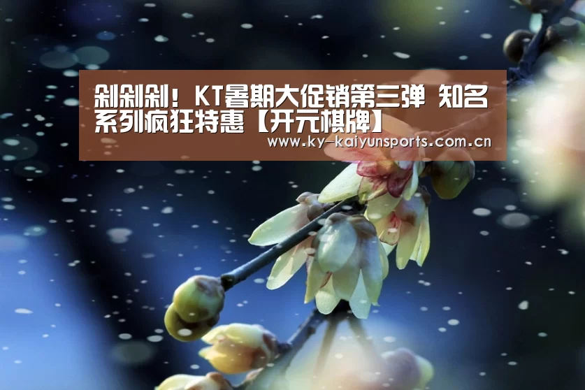 剁剁剁!KT暑期大促销第三弹 知名系列疯狂特惠【开元棋牌】(图3) 开云体育下载