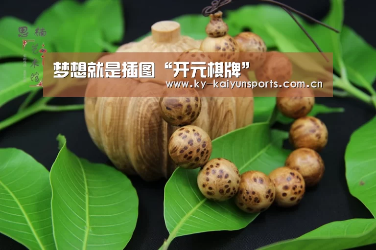 梦想就是插图“开元棋牌”(图1) 开元棋牌