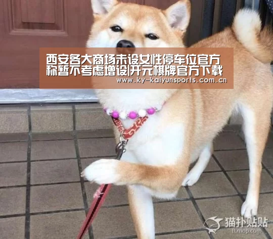 西安各大商场未设女性停车位官方称暂不考虑增设|开元棋牌官方下载(图1) 开元