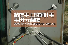 开元棋牌