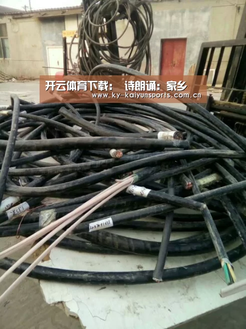 开云体育下载:
诗朗诵:家乡(图4) 开云体育下载