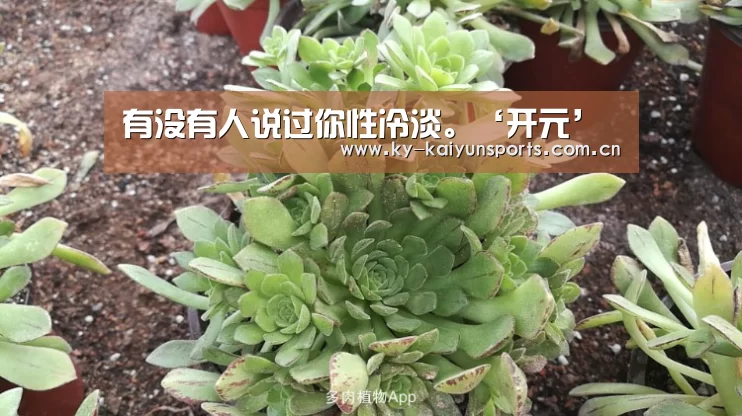 有没有人说过你性冷淡。‘开元’(图1) 开元